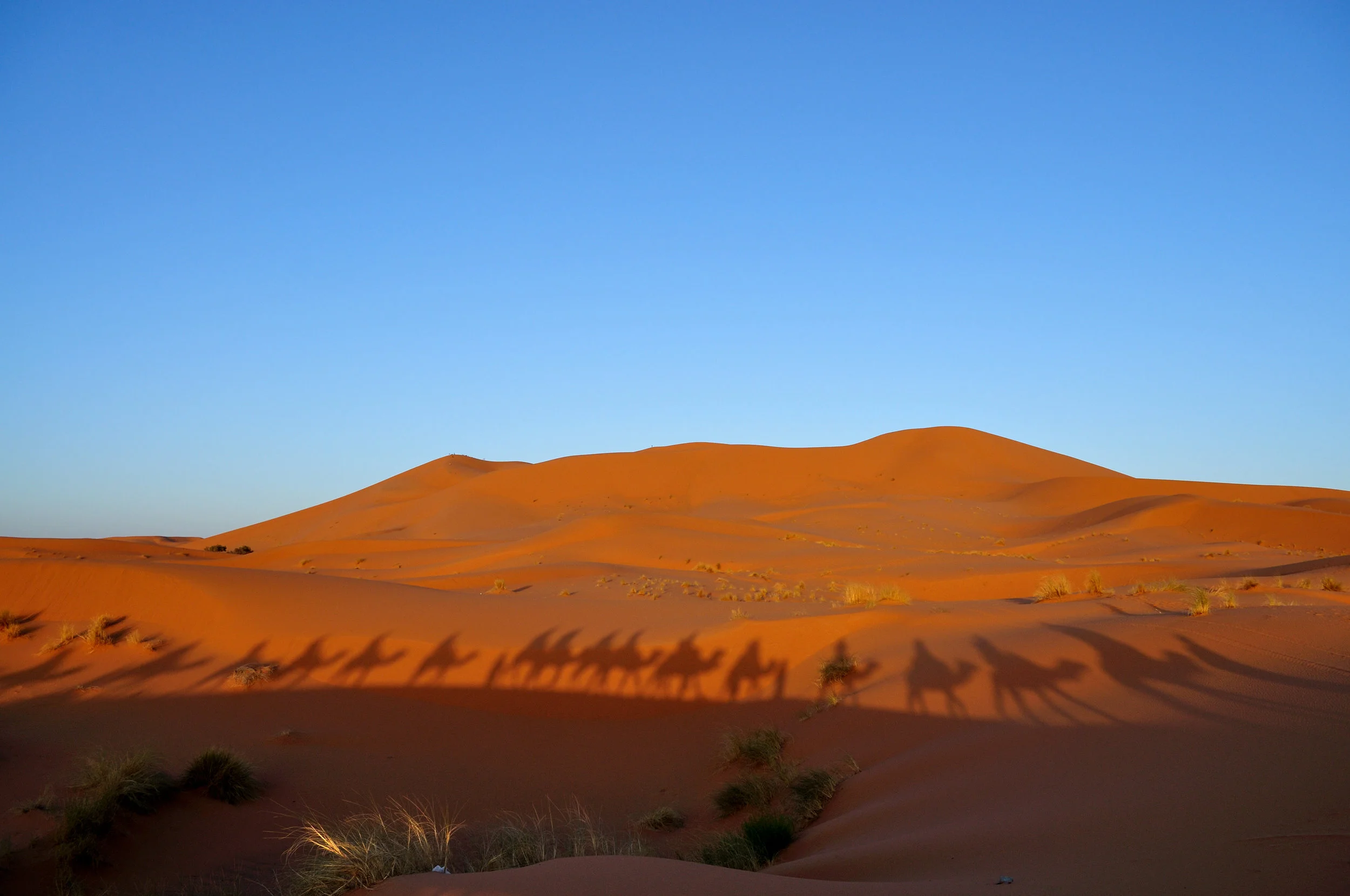 Sahara desert, Morocco