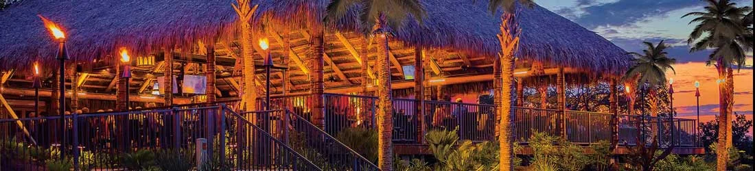 Tiki-Evening-with-Palms-banner.jpg