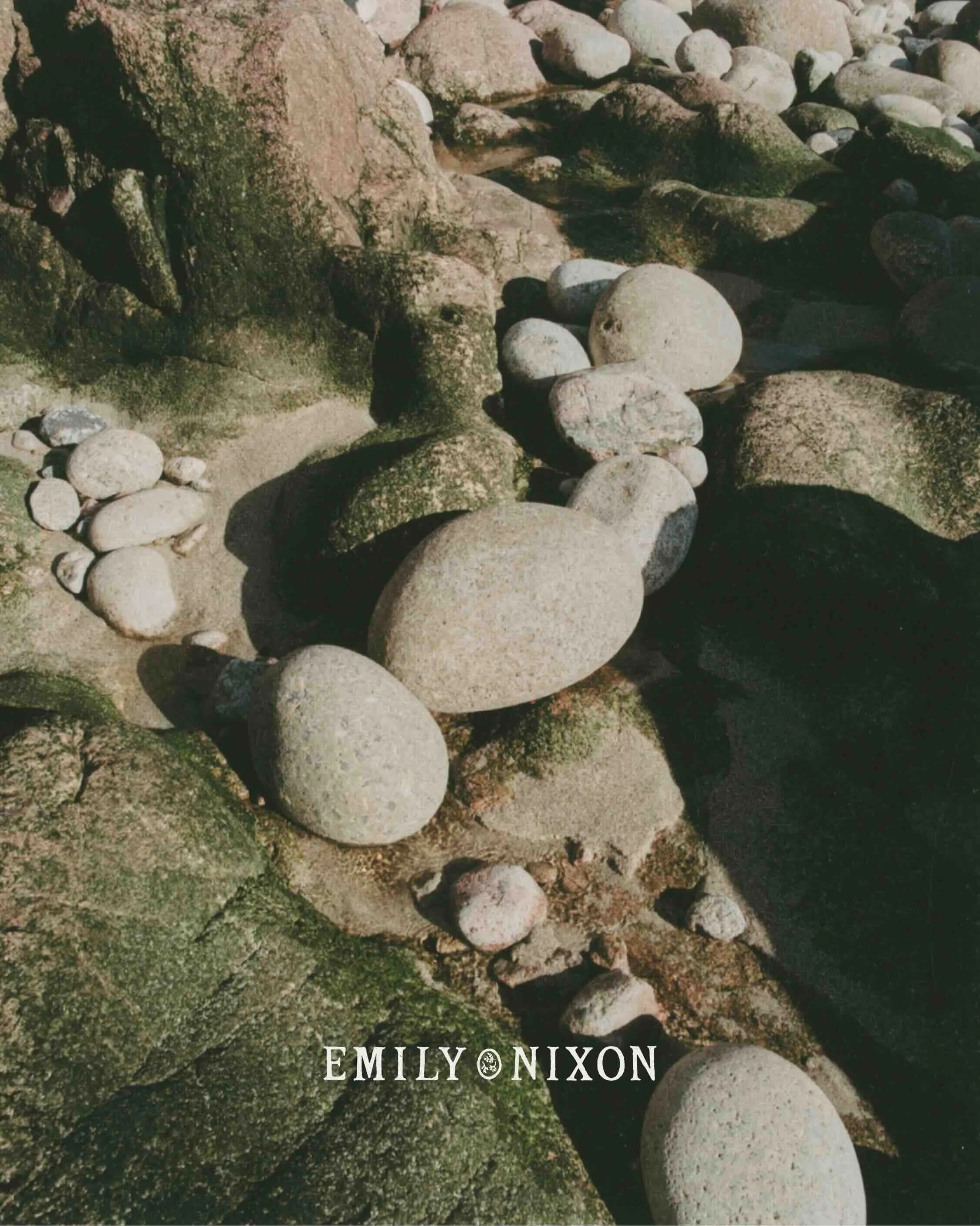 12161_Emily Nixon_4x5 Social Media Templates_S211.jpeg