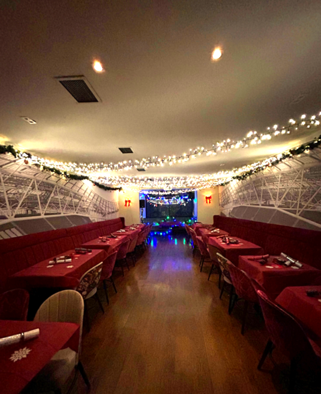 Aviva - Christmas Party - Edited.PNG