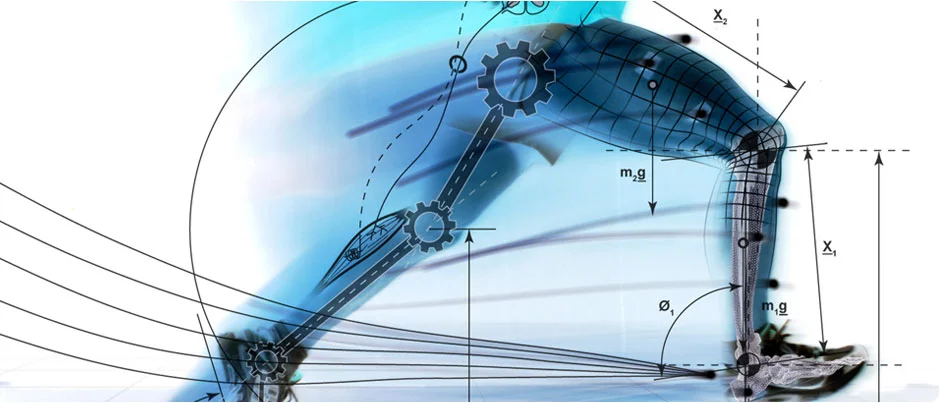 Biomechanics