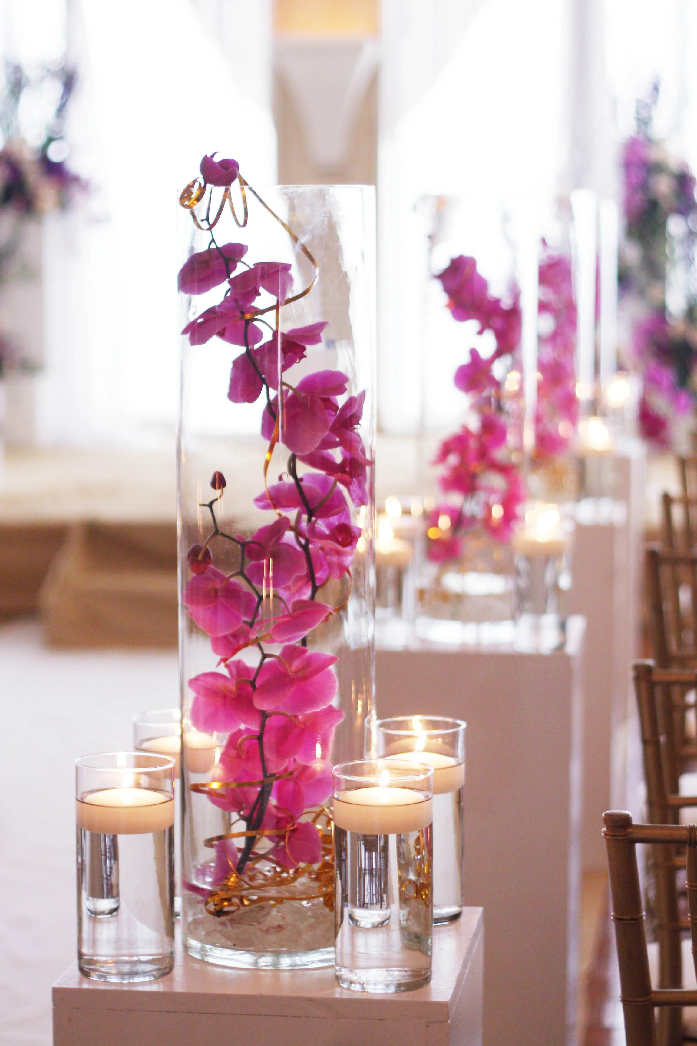 Safron Wed 1108.jpg