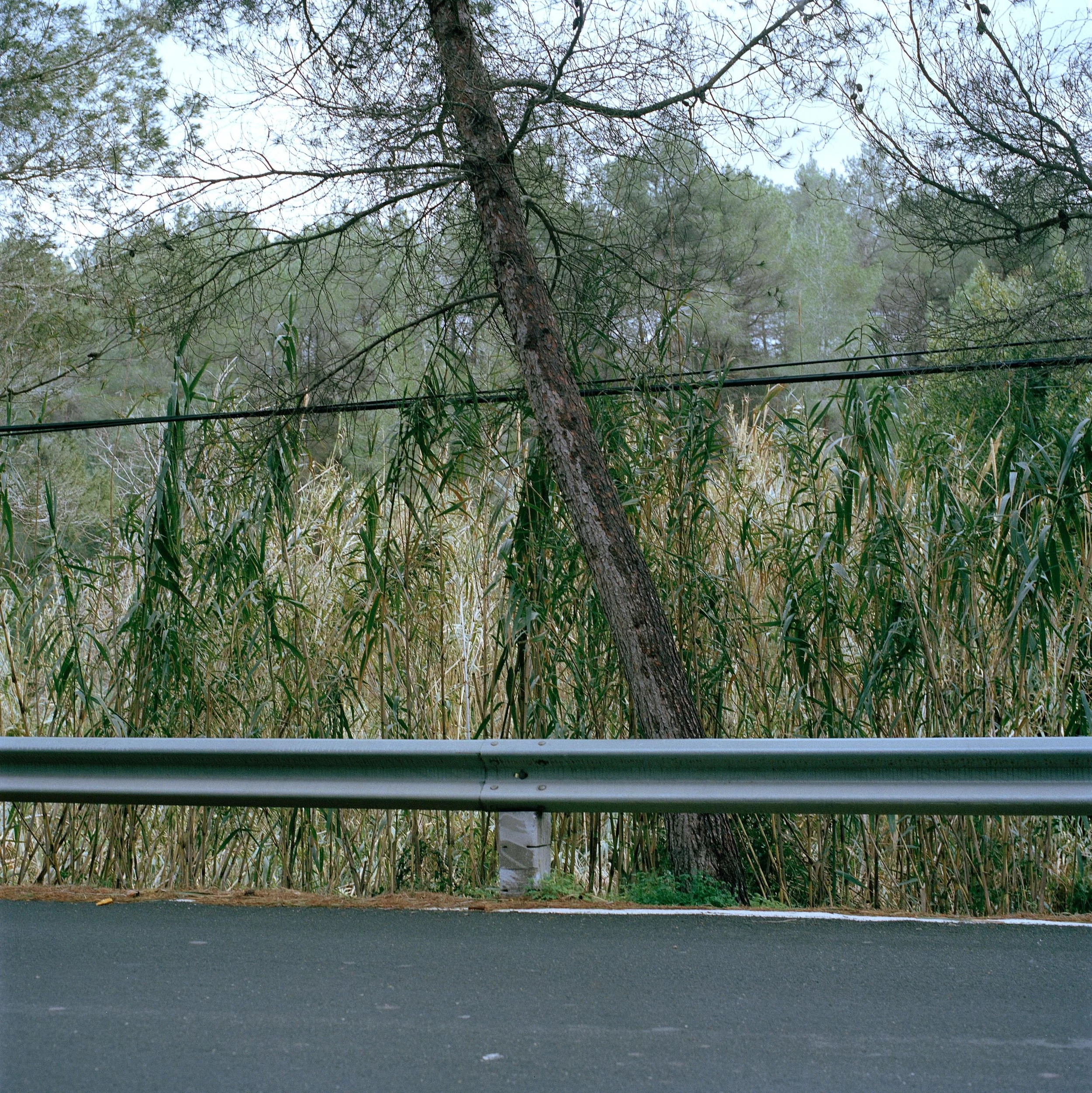 (12 of 60).jpg