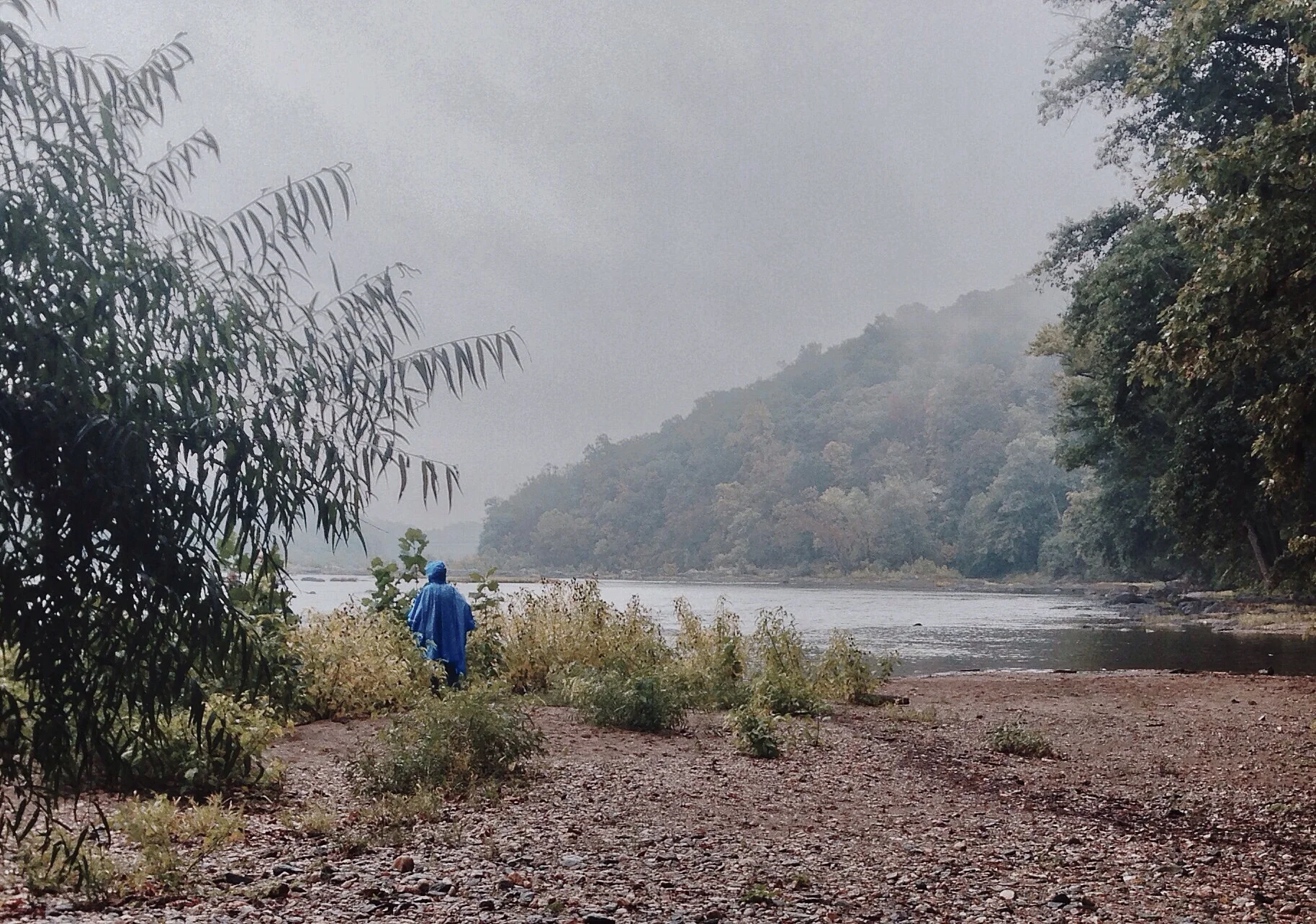 Poncho by the Potomac.JPG