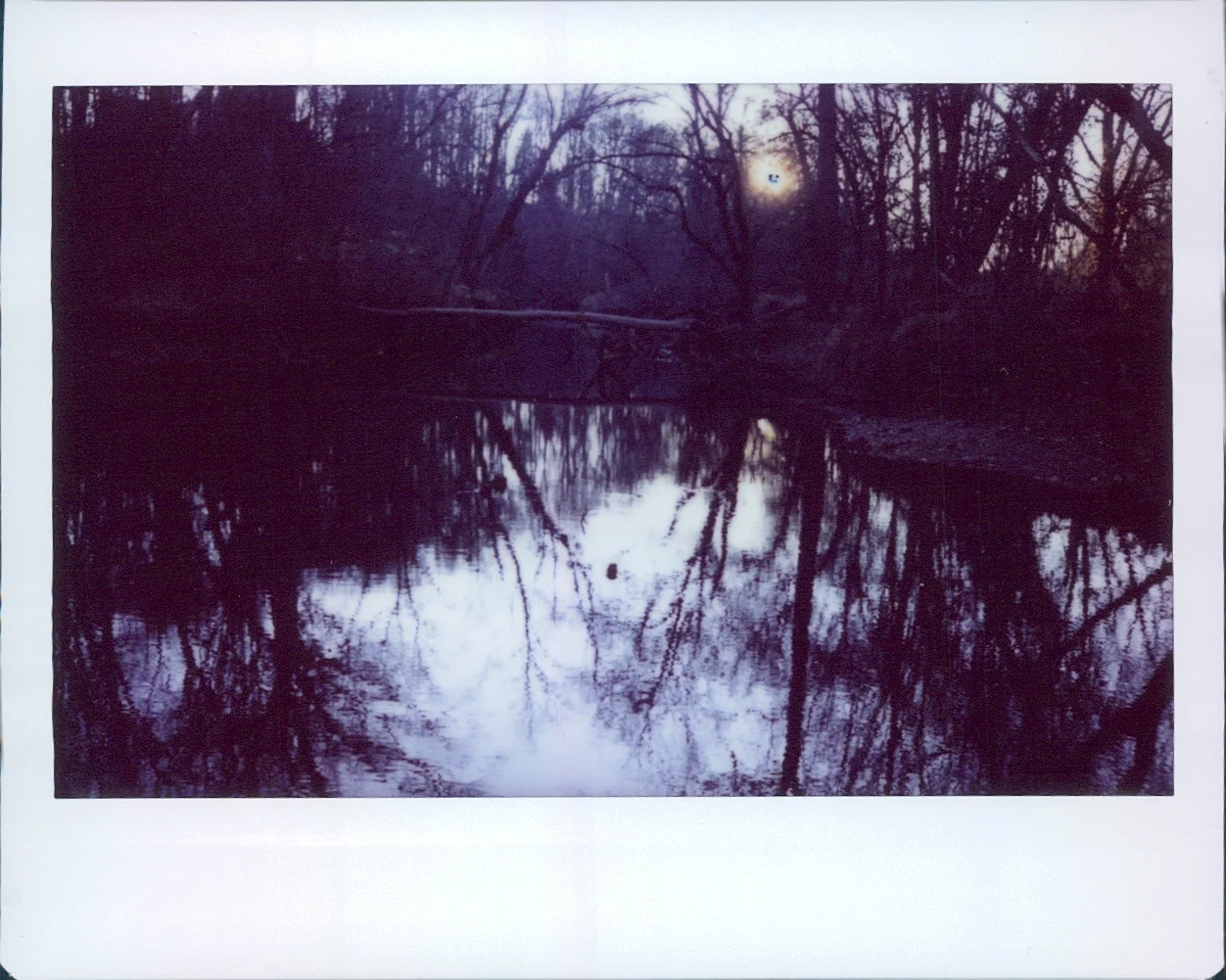 winter walk