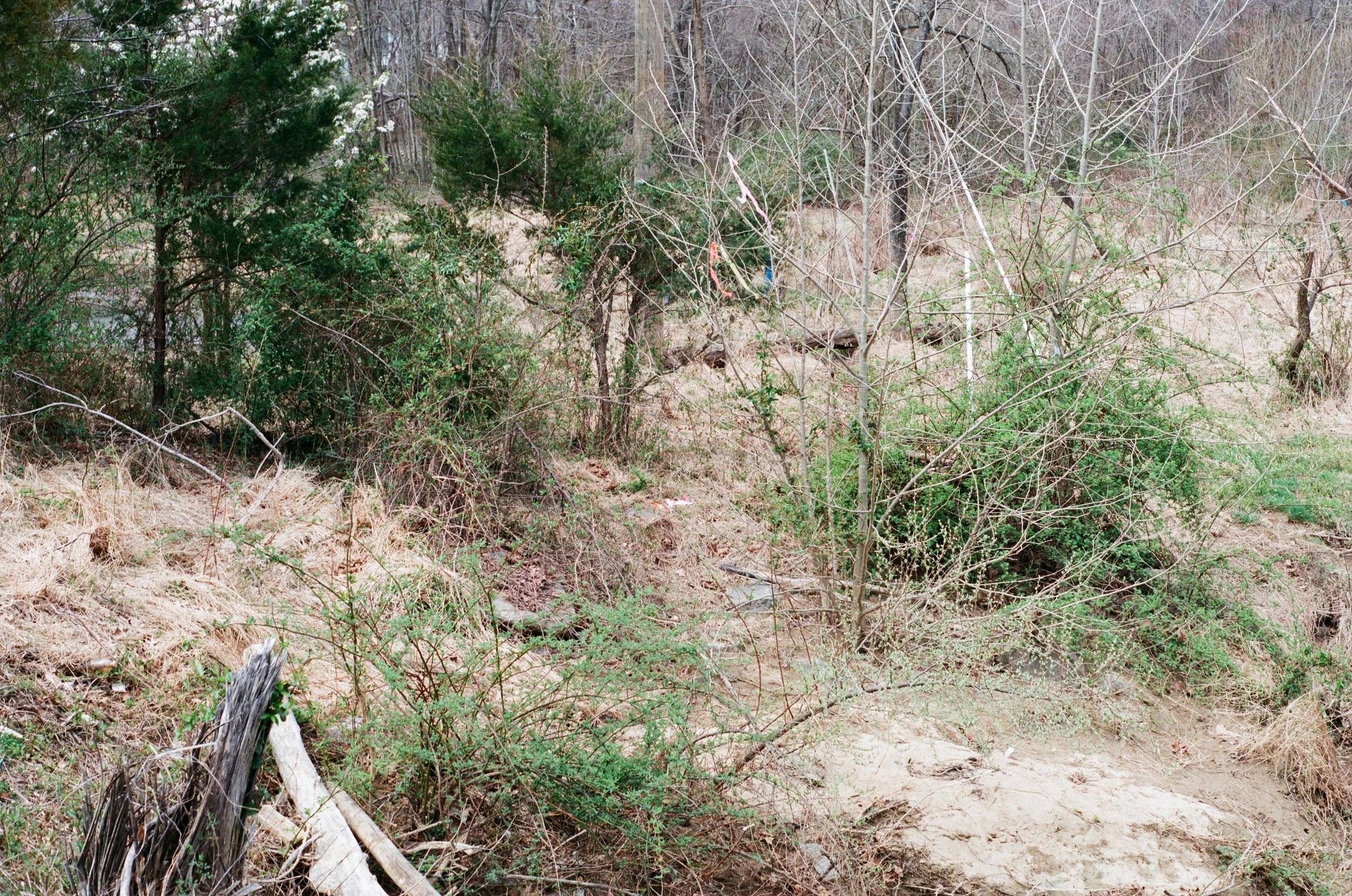 Route 7, Eastern bound, Vienna, Virginia