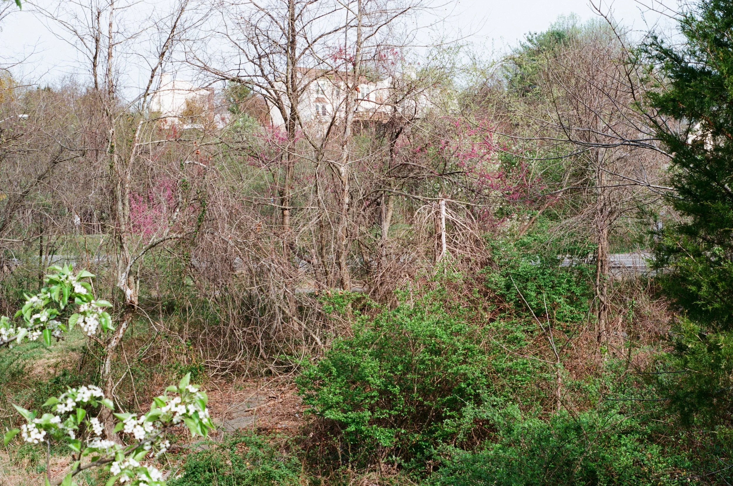 Dranesville road, Southern bound, Herndon, Virginia