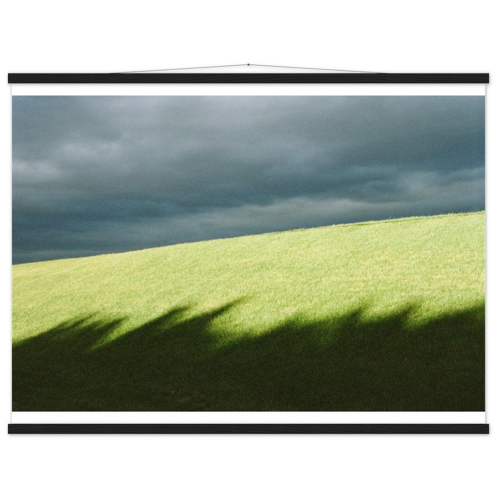 tmp-3973-bg5D54Jed3p7