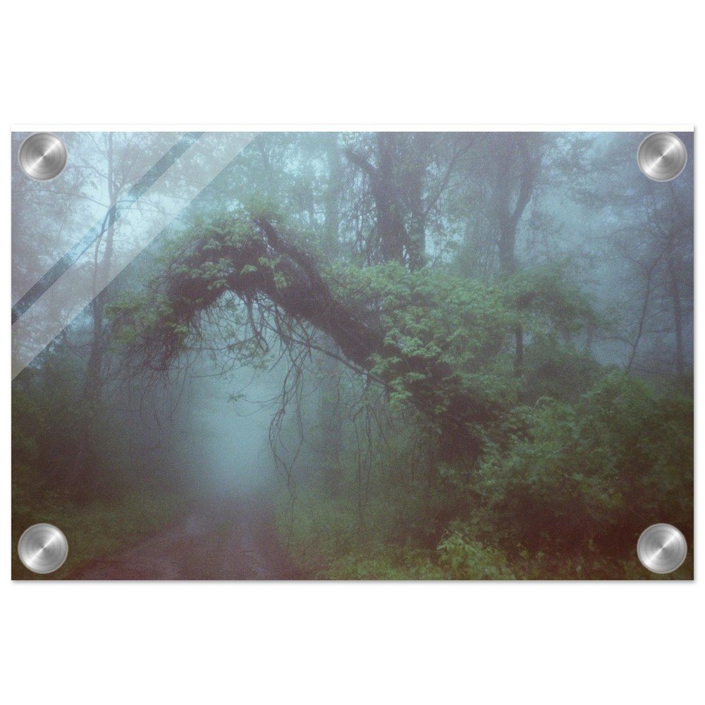 tmp-1491-JueKJ7ITkAEy