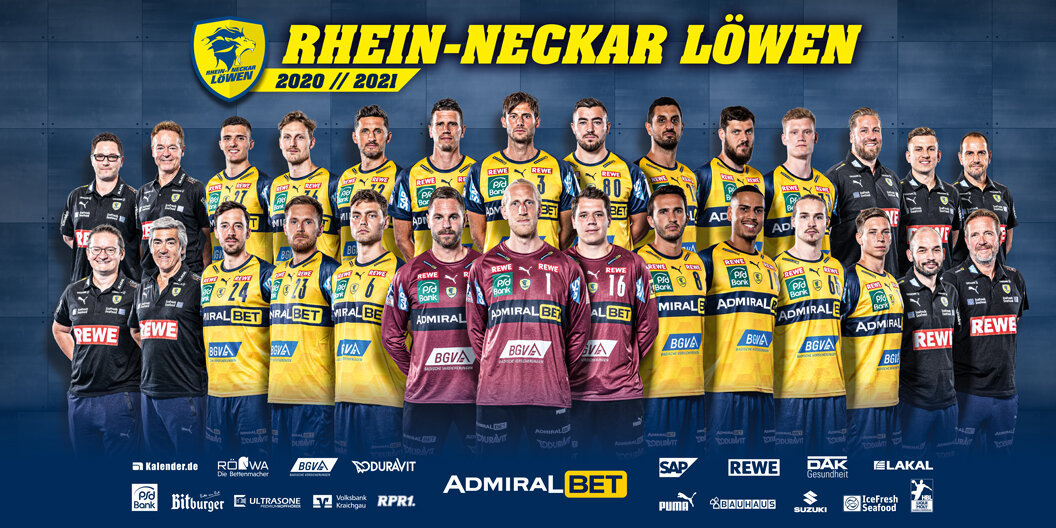 Rhein-Neckar-Loewen_Teambild_1056x528px.jpeg