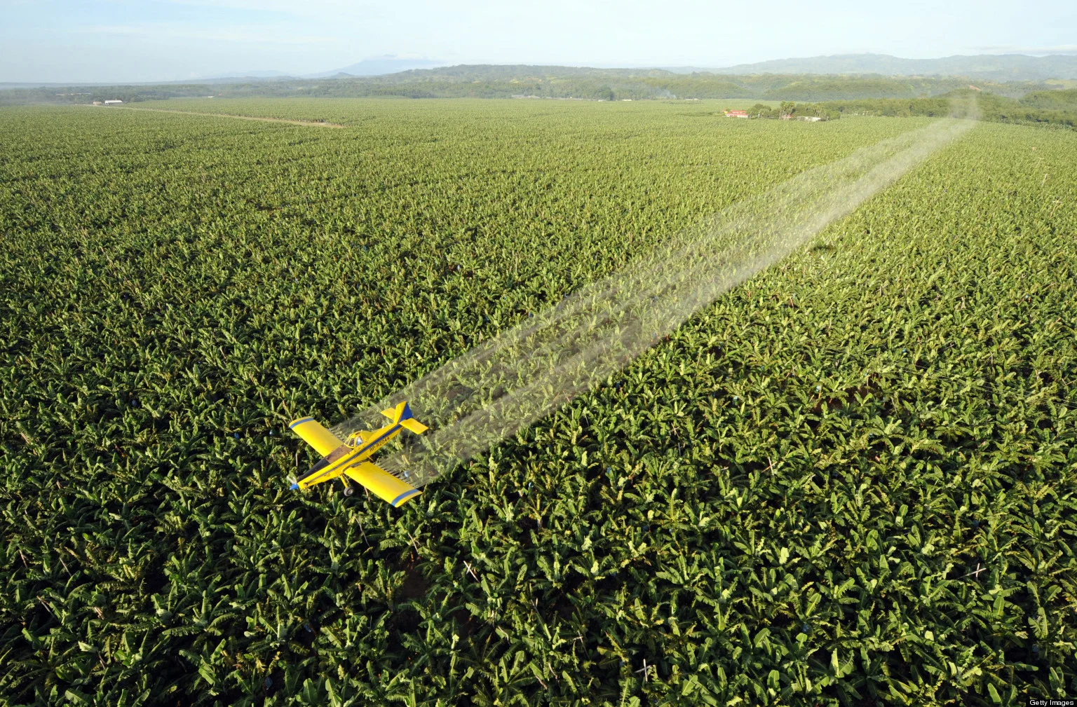 pesticides.jpg
