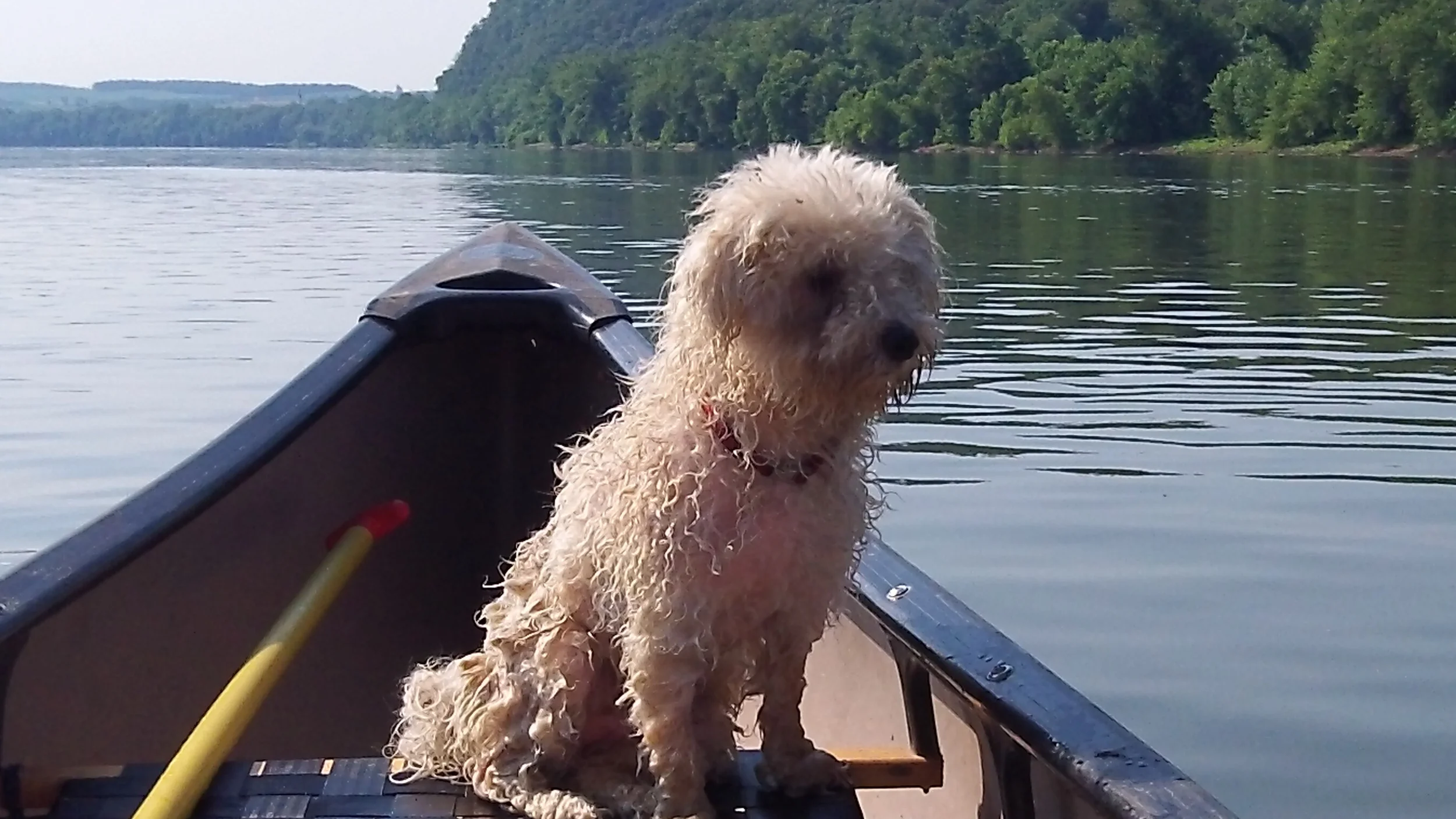 Canoe and Kayak Rental Season