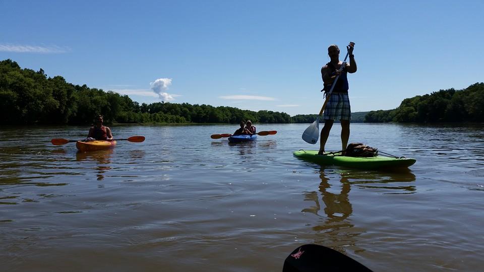 Paddleboards