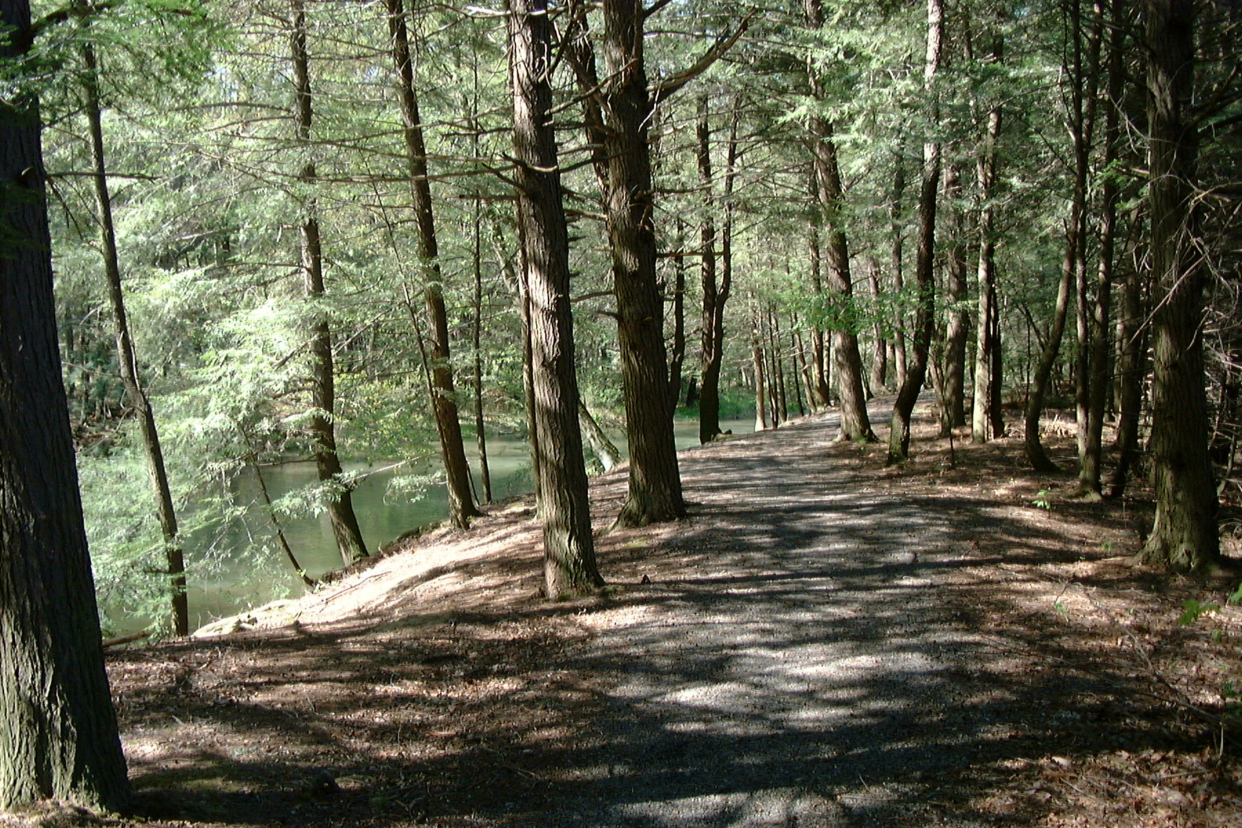 Inner trail