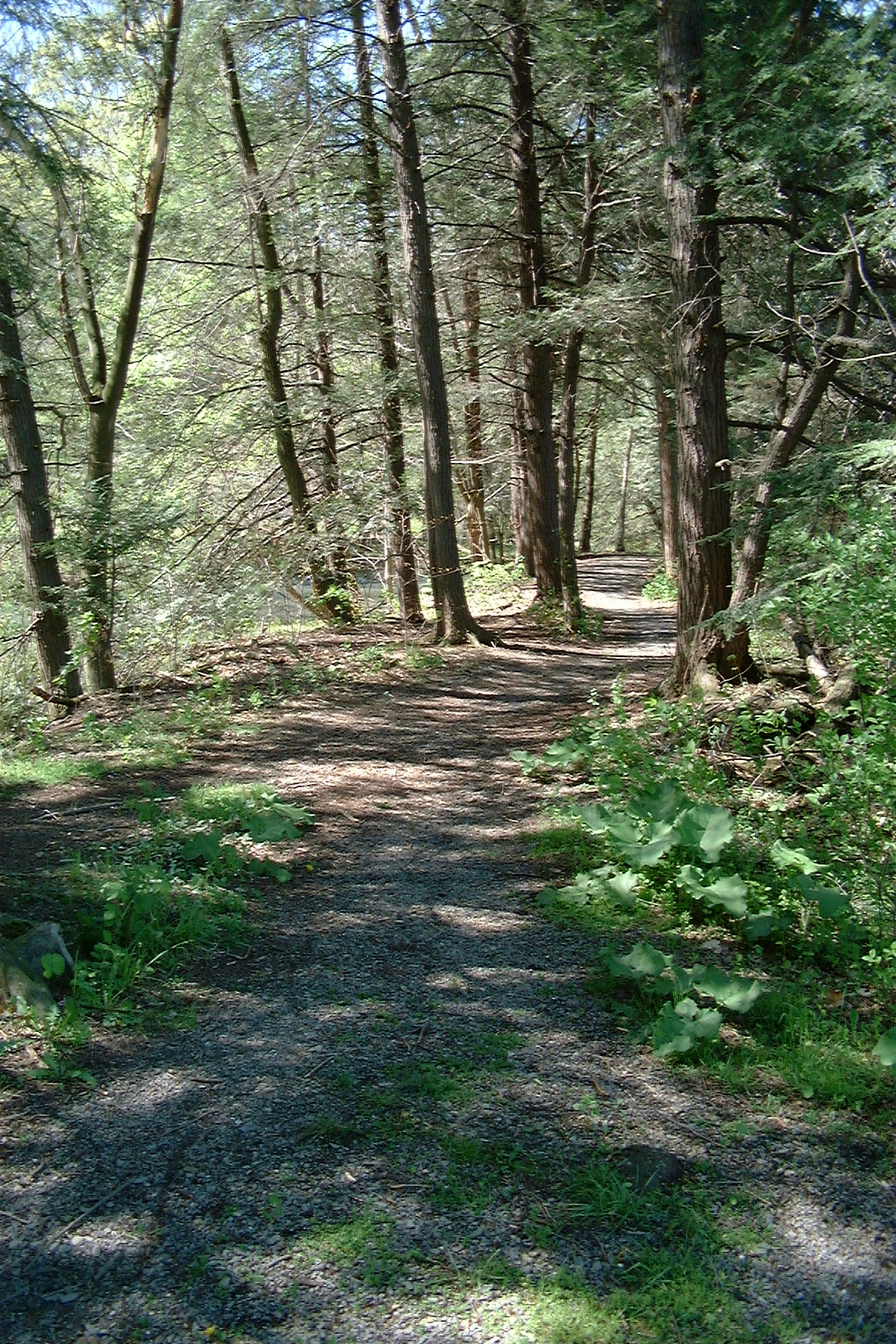 Hemlock Trail