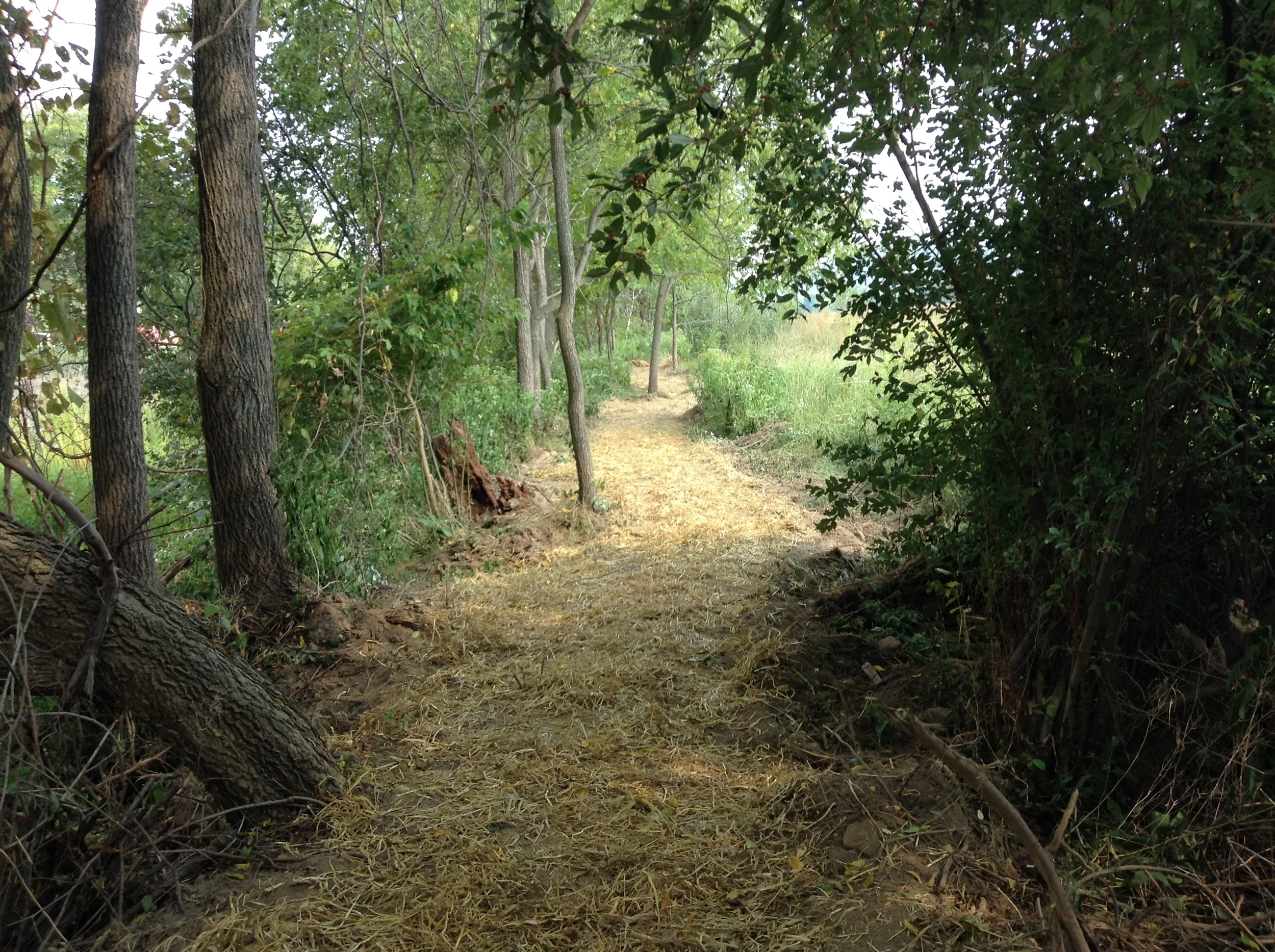 North Branch Canal Trail - An early review.