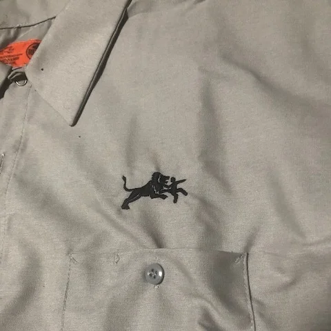 Lion pocket logo