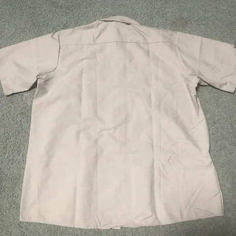 The back