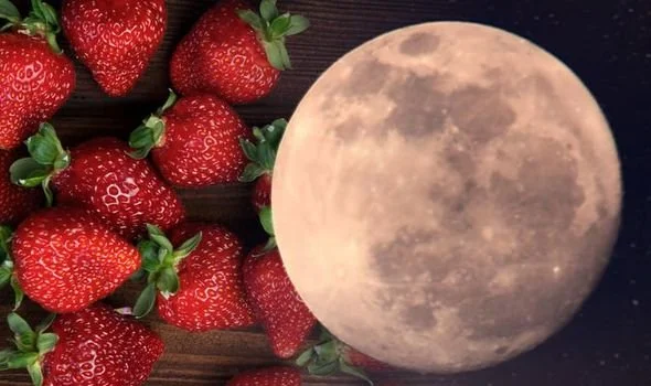 Strawberry Moon Paddle