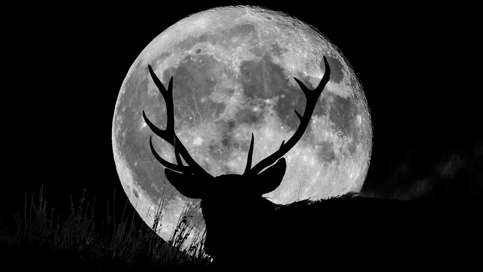 Full Moon Paddle 