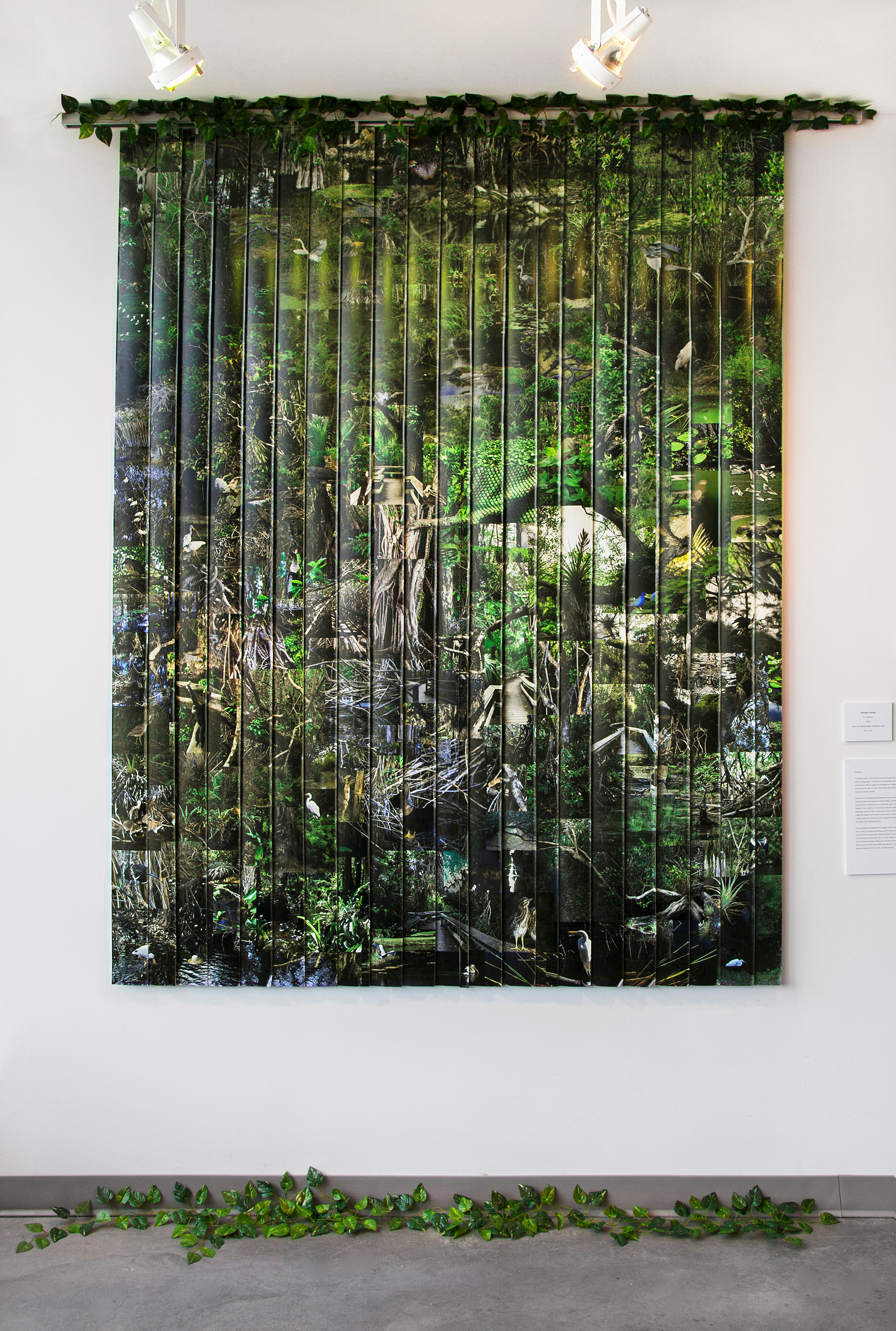 Everglades , 2014, vinyl wallpaper, vertical blind, artificial vines, 78"x 84"(198.1 cm x 213.4 cm)