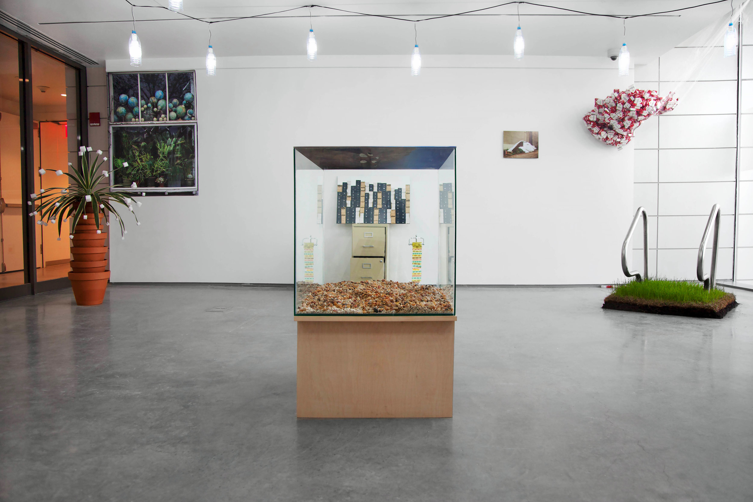 Installation view, 2014