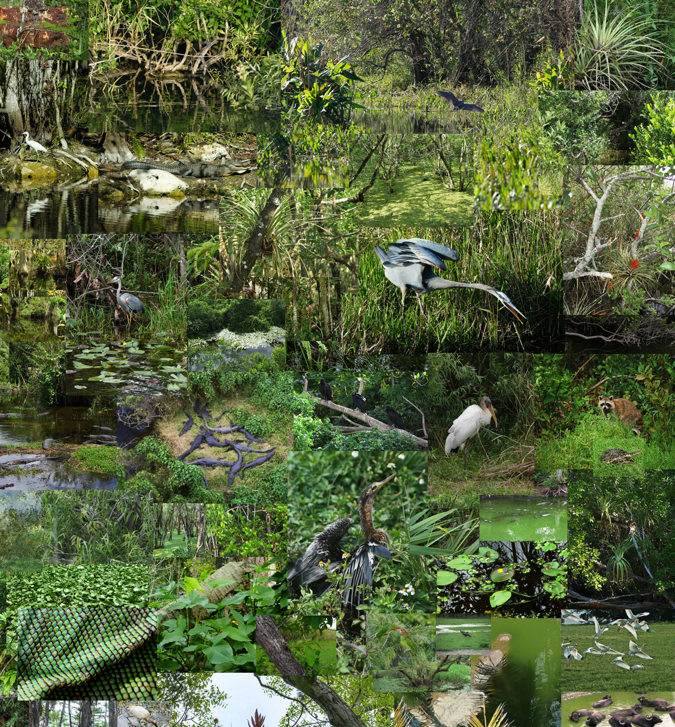 Everglades , detail, 2014, vinyl wallpaper (approx. 200 composited photographs taken in Everglades, Florida), 78"x 84" (198.1 cm x 213.4 cm)