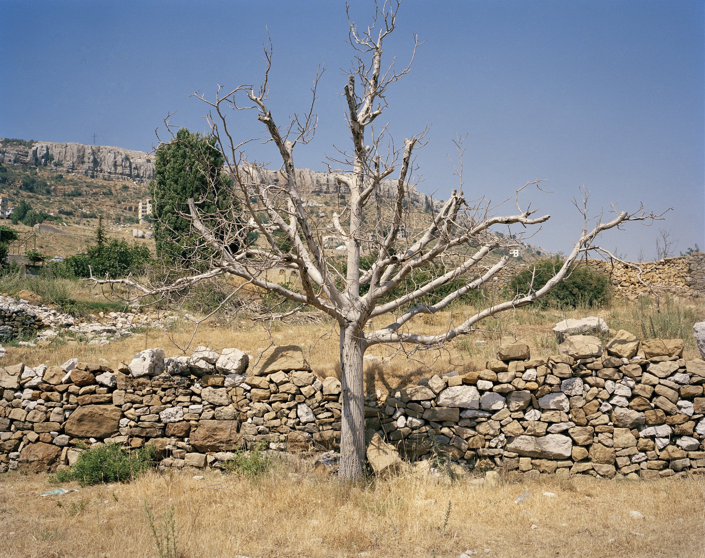  Faraya, Lebanon, 2009, 20x24”, chromogenic print 