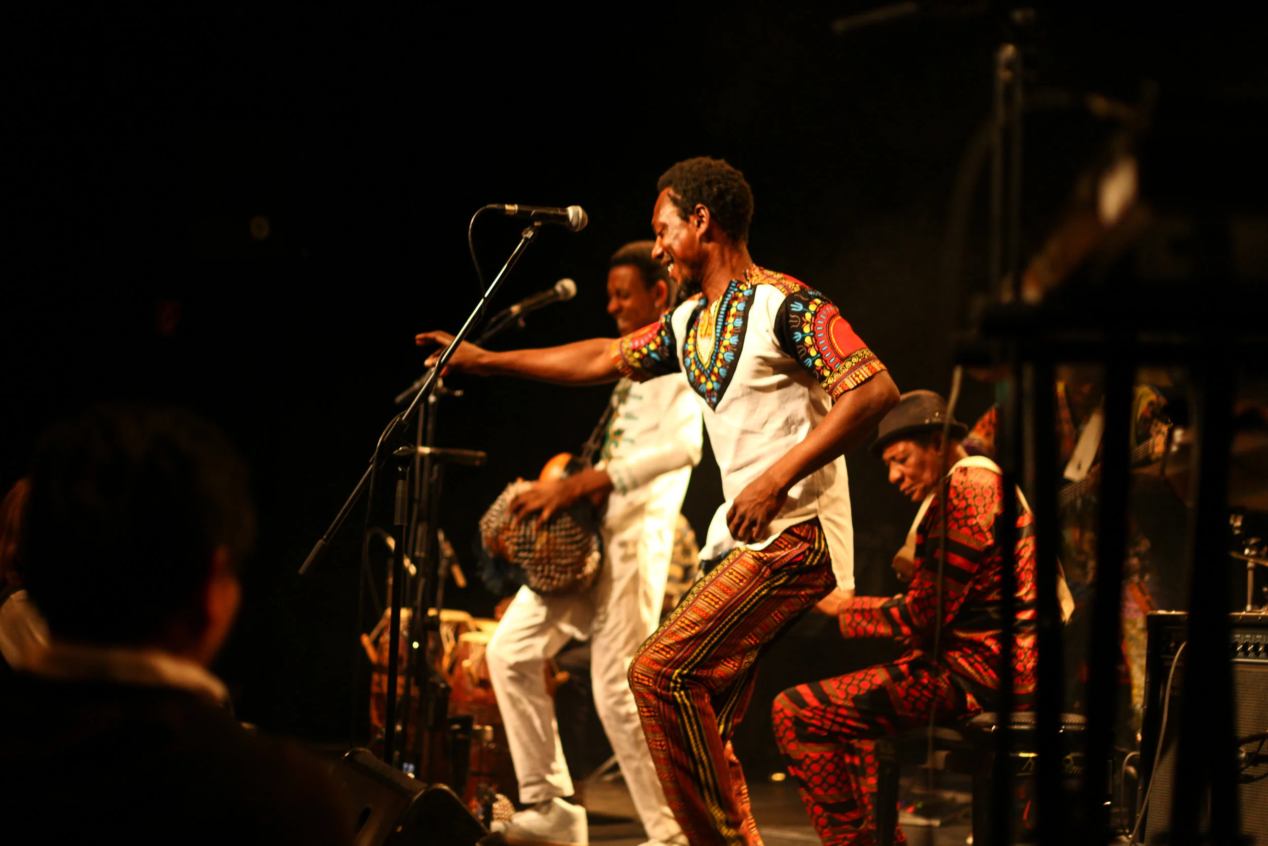 EboTaylor_AfricaAlive2017_MayaRoettger-2.jpg
