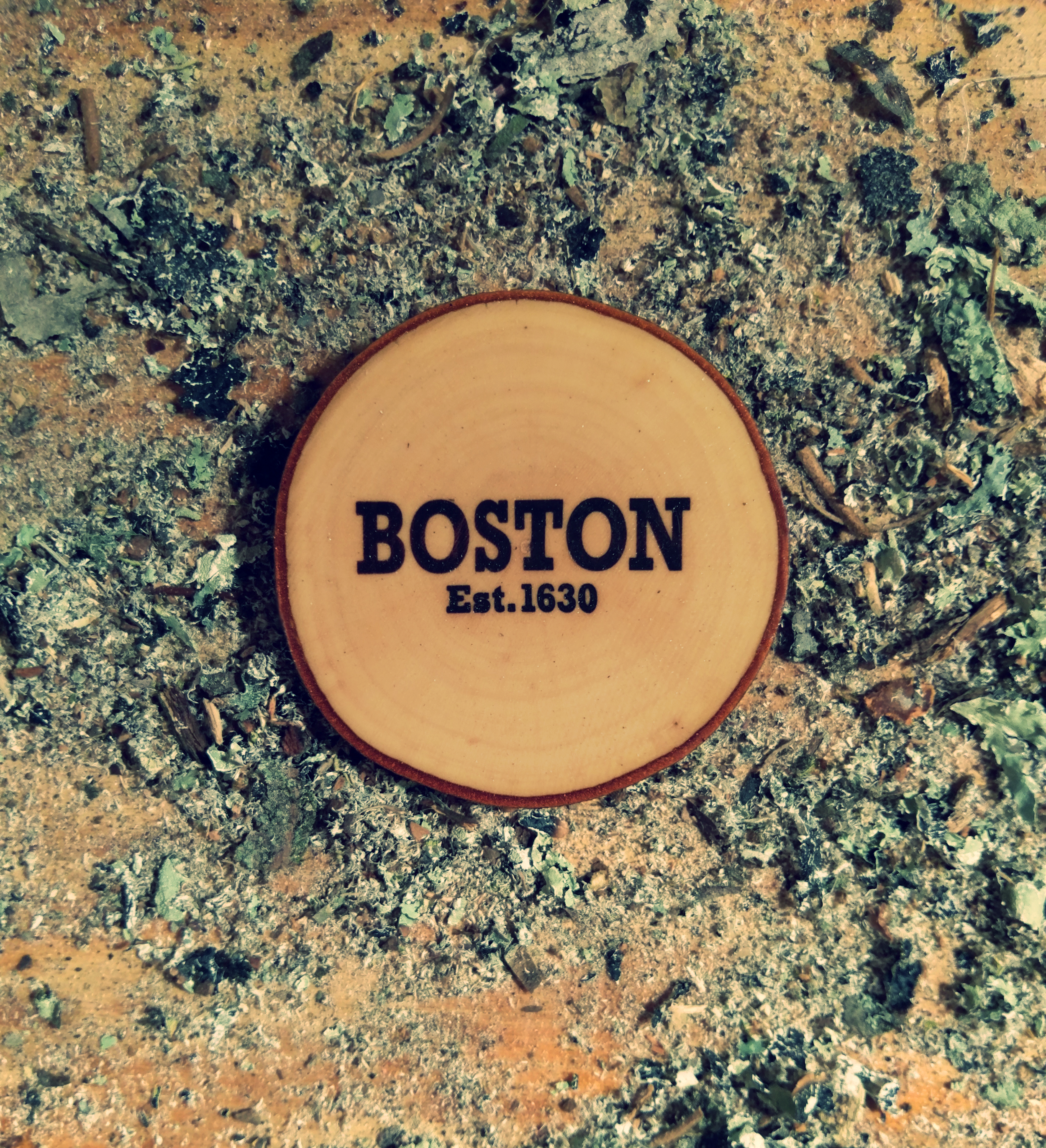 Boston Coasters
