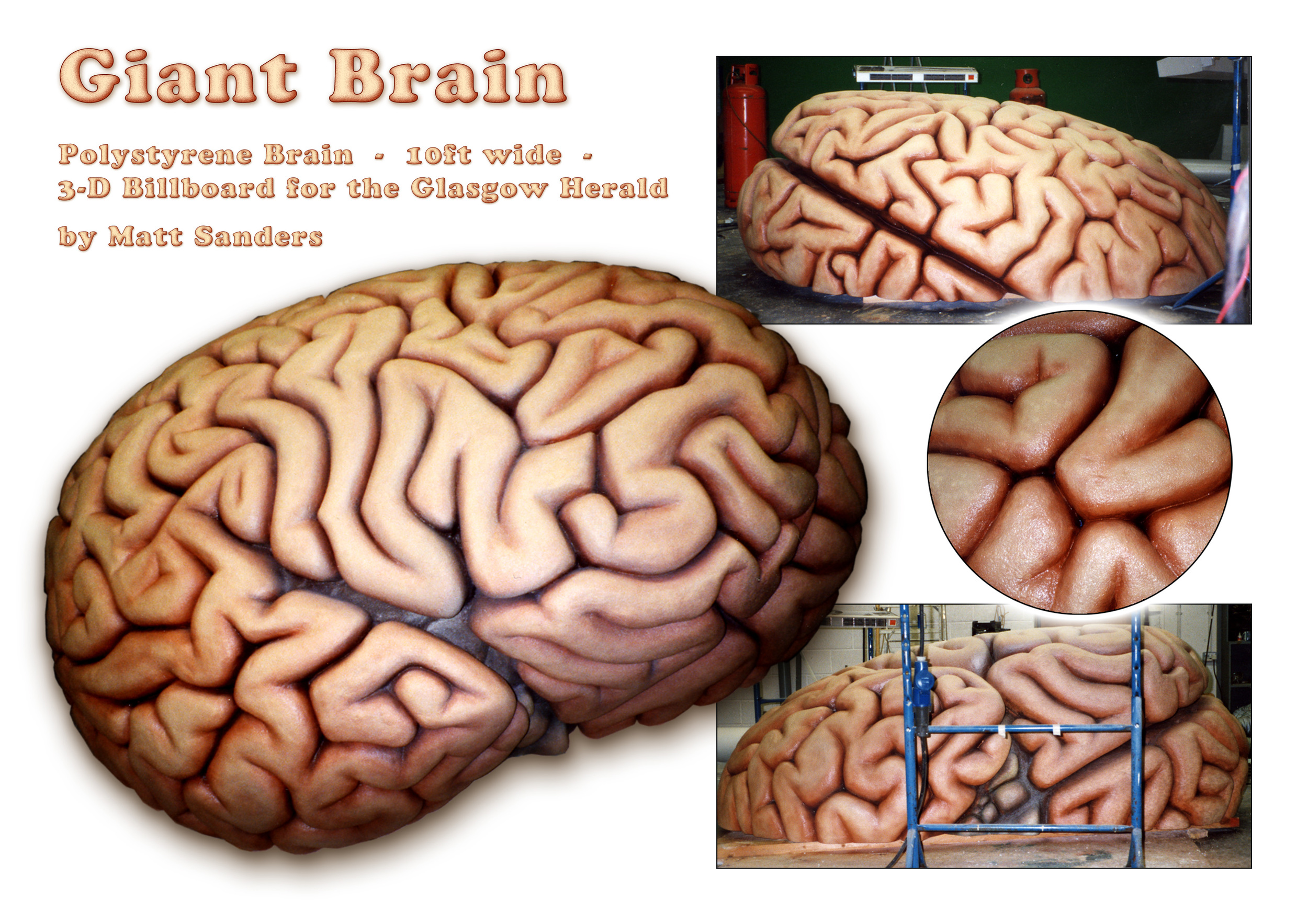 Brain Sheet.jpg