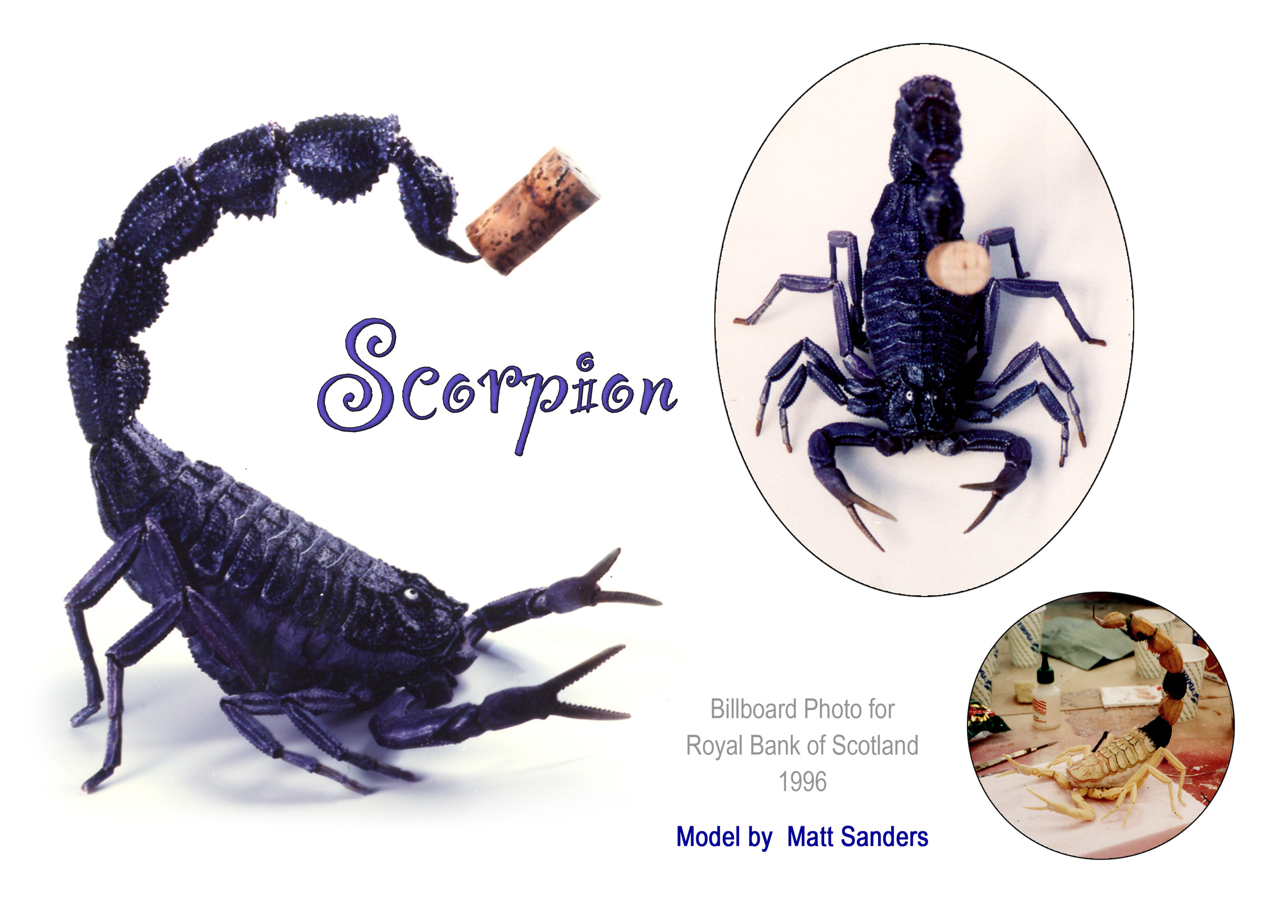 Scorpion Sheet.jpg