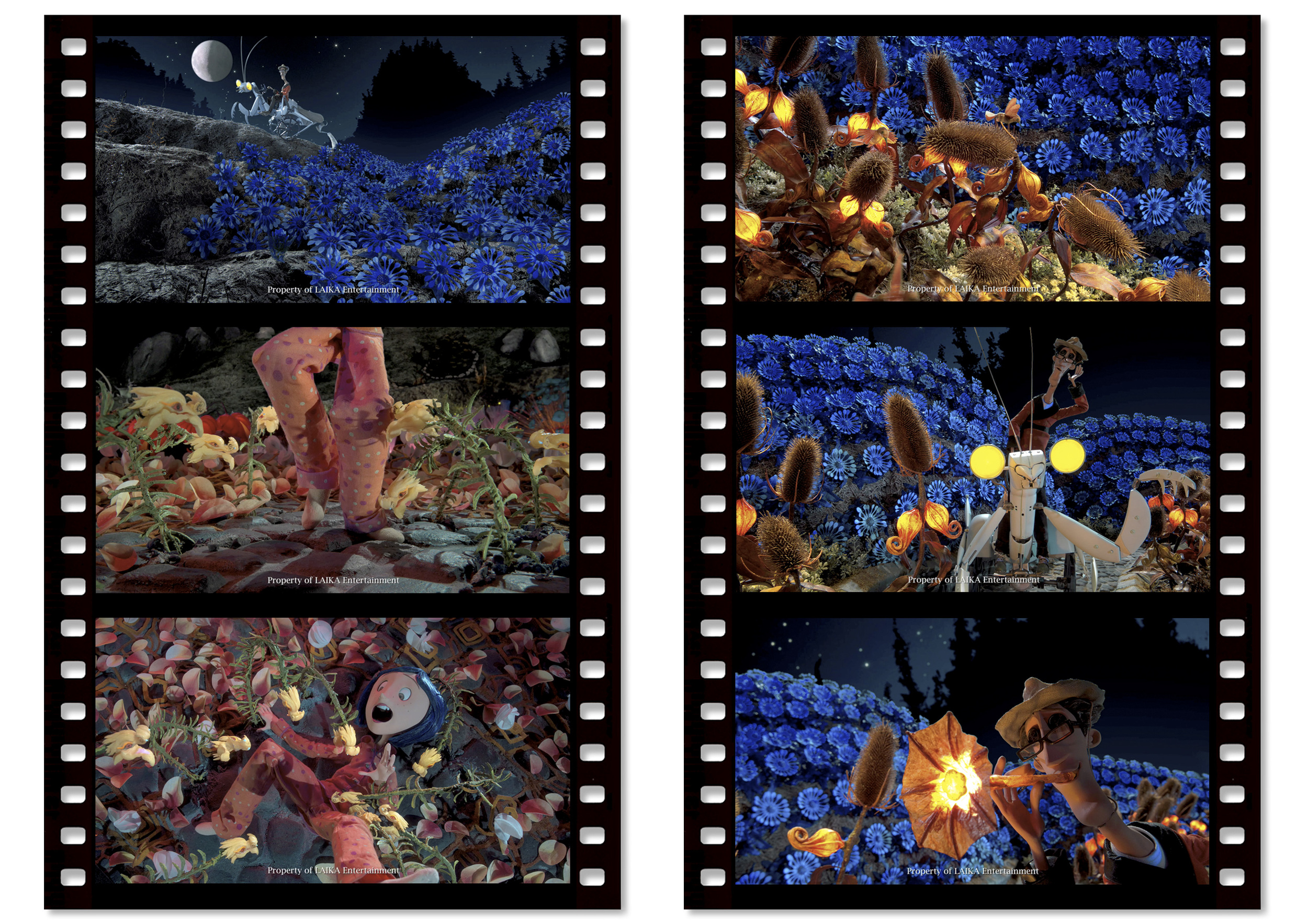 Coraline 6 images 4.jpg