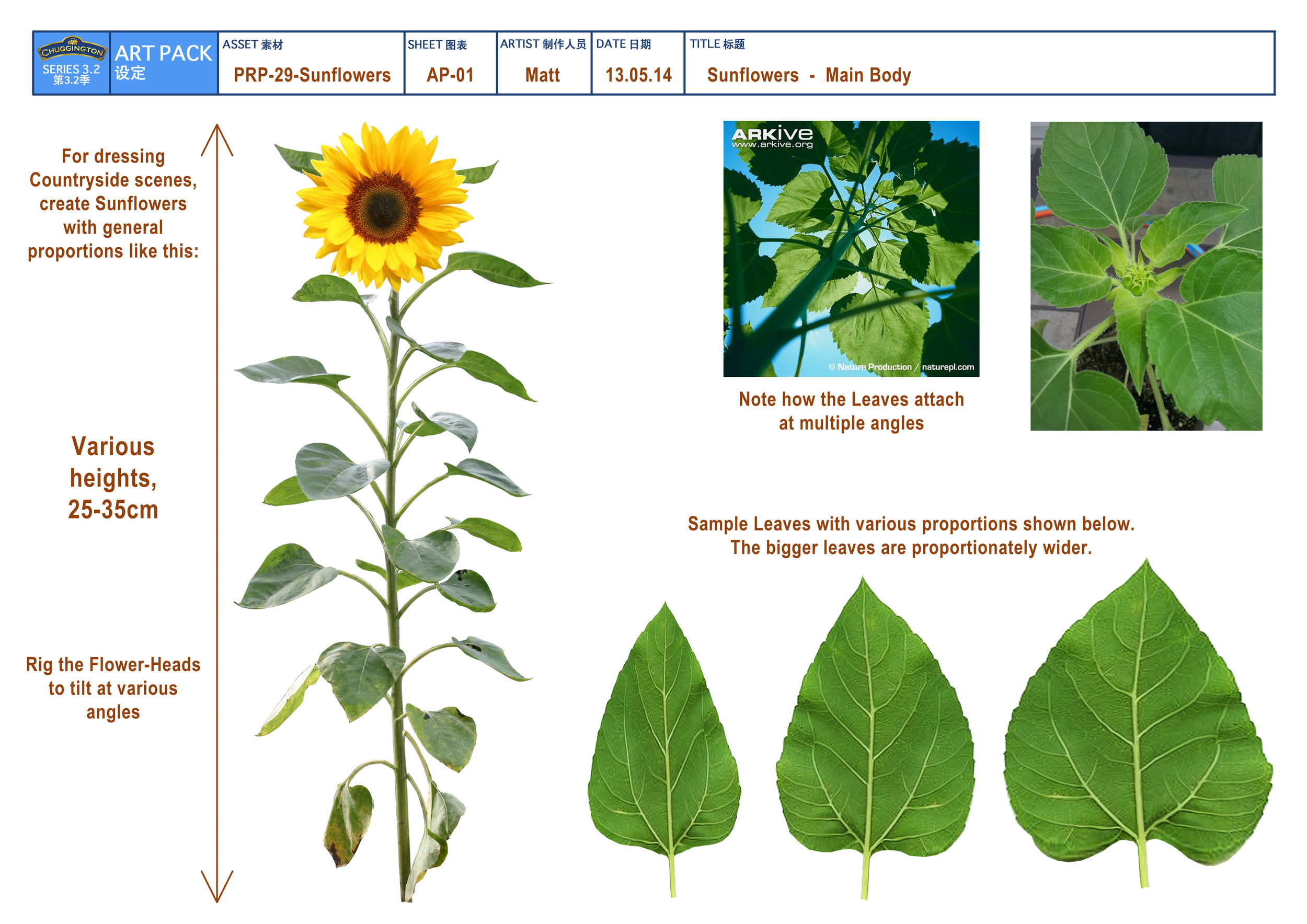 PRP-Sunflowers_AP-01_2014-05-14.jpg