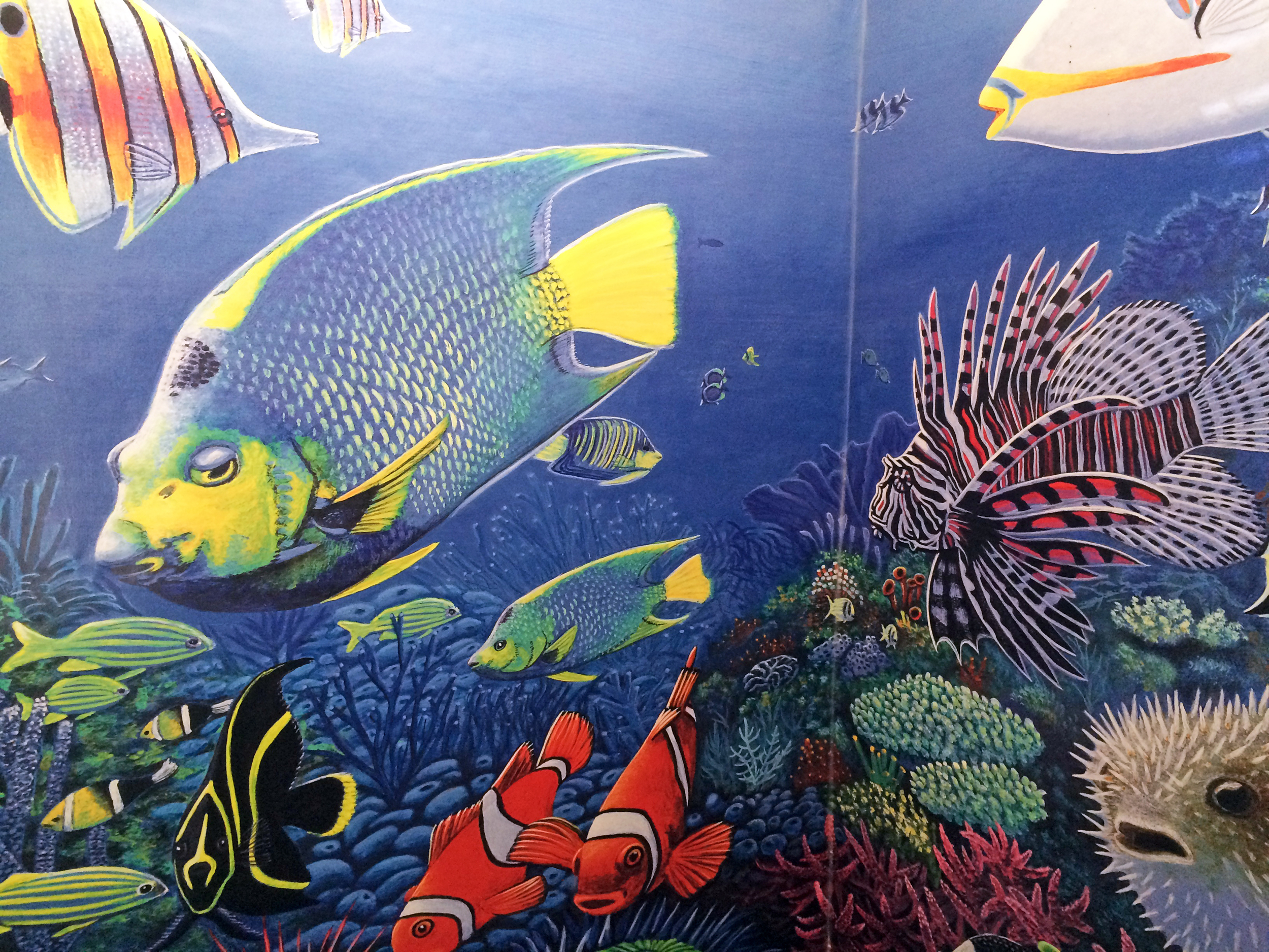 FishWall_03.JPG