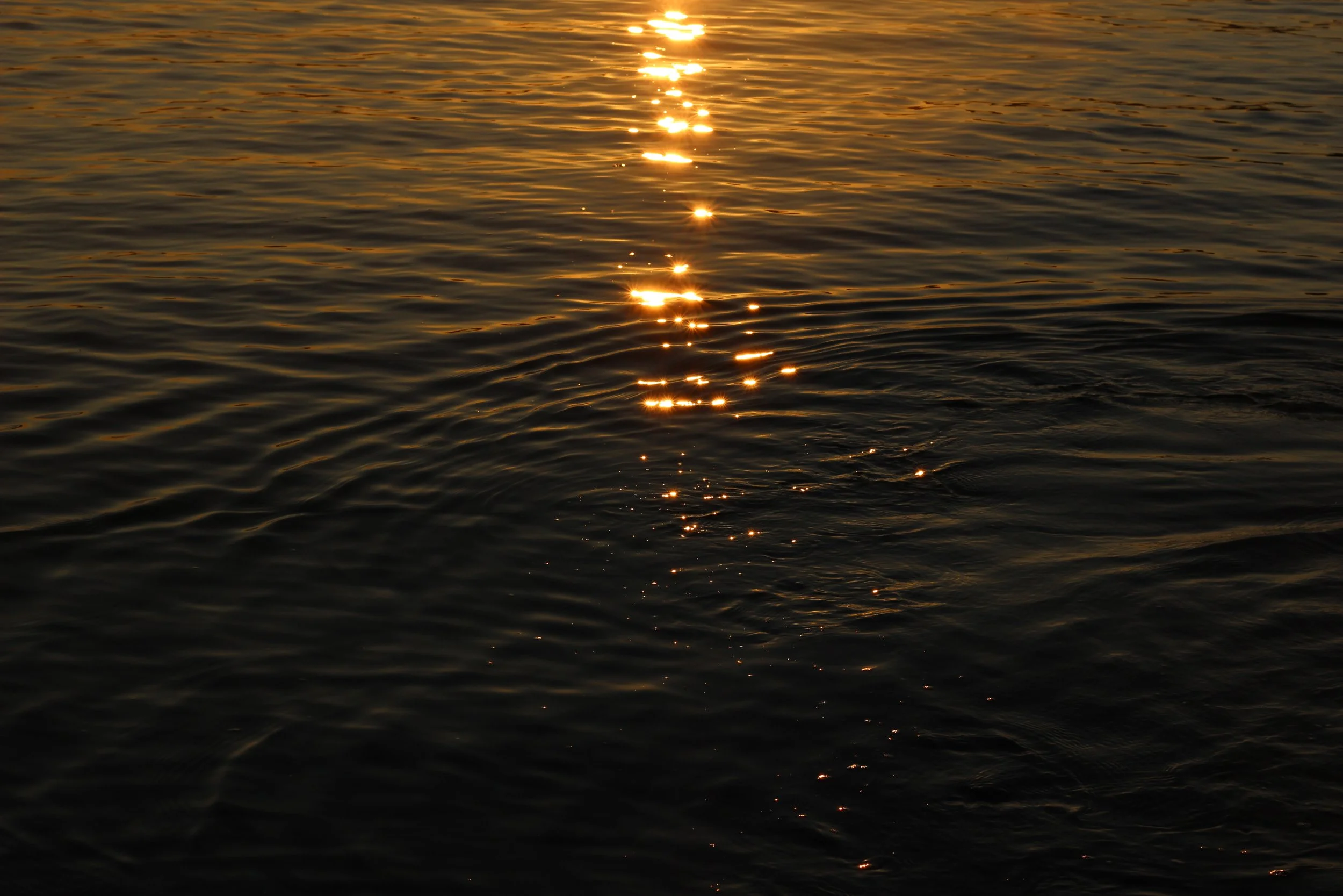 218B49DD-05AE-4115-A056-133DB448C443.jpeg