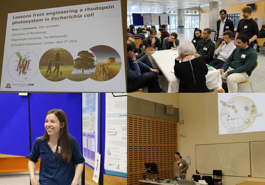 Captions from the participants presentations and the poster and breakout sessions.