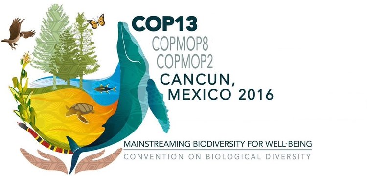 COP13.jpeg