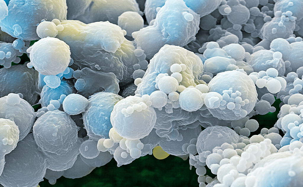 by BASF CC BY-NC-ND 2.0