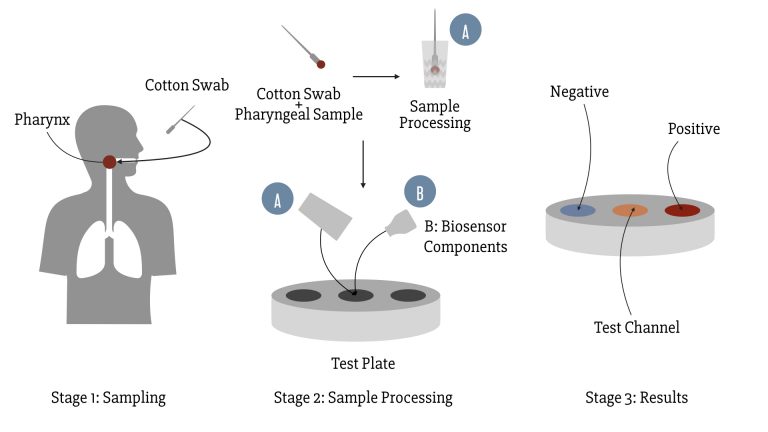 MERS-CoV detection kit, as envisioned by iGEM Athens