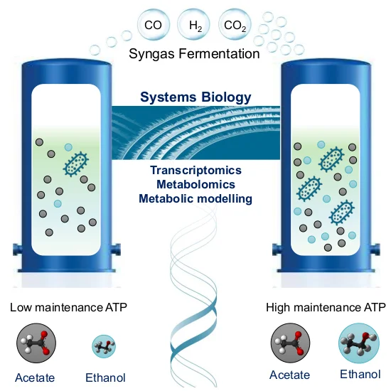 One focus of Kaspar’s research is systems biology of gas fermentation, recently exemplified in a Cell Systems paper (DOI: 10.1016/j.cels.2017.04.008 )