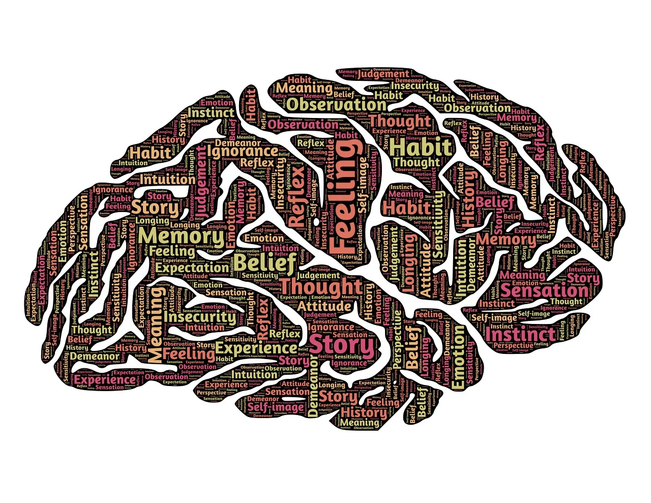 brain-544412_1280.jpg