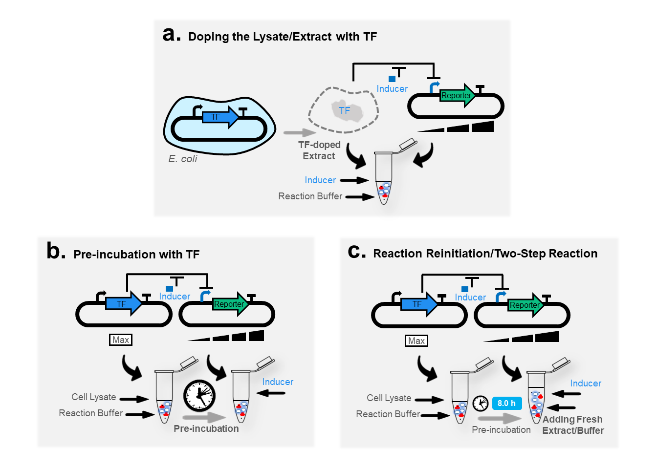 Optimization strategies applied to improve the fold change of a cell-free biosensor functioning through a transcriptional repressor. (a) Doping, (b) Preincubation, and (c) reinitiation of (two-step) reaction. Adapted from Pandi et al. 2019, ACS synthetic biology .