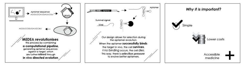The MEDEA pipeline for aptamer production, consisting of both a Dry and a Wet Lab part, and the advantages it will offer to researchers.