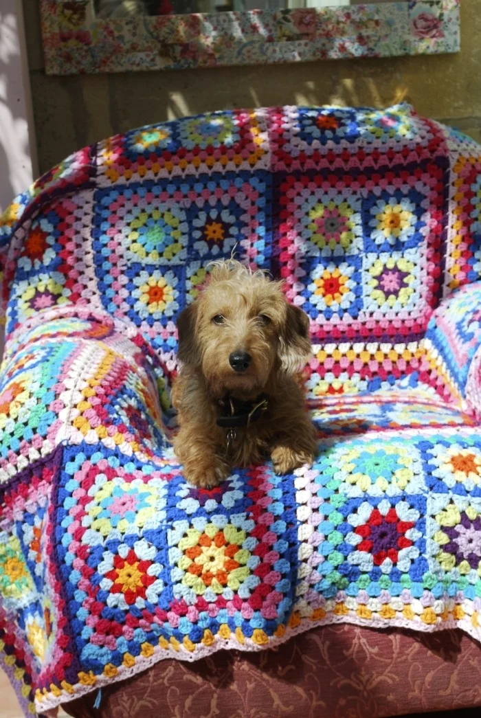 Meet Mr Pickles who loves to sit on my very first crochet blanket (pattern from Lucy Attic24 )