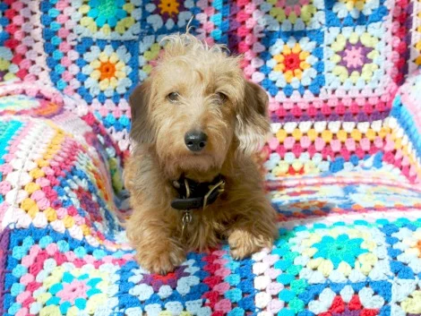 Beginners Crochet Workshop