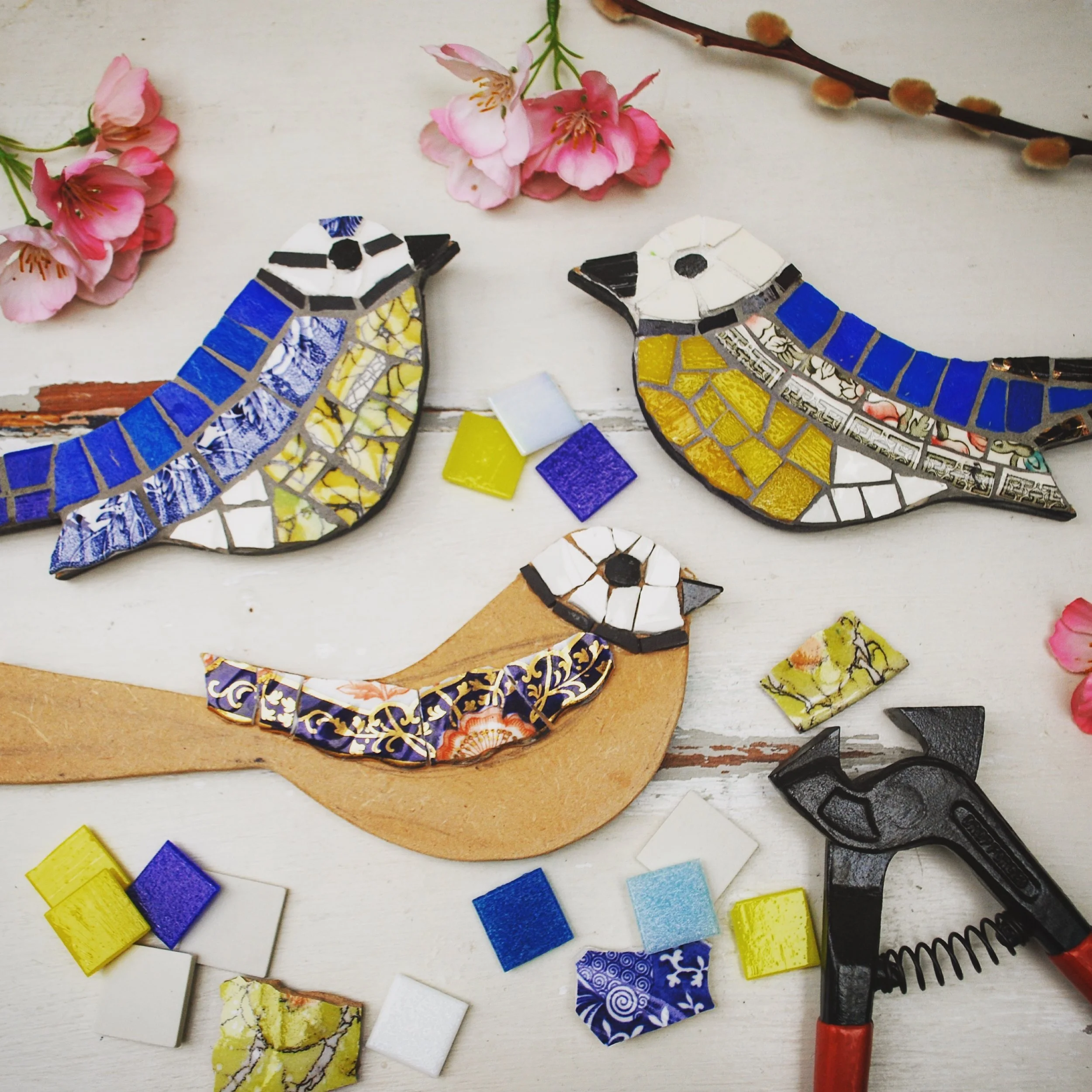 Mosaic Birds Workshop 