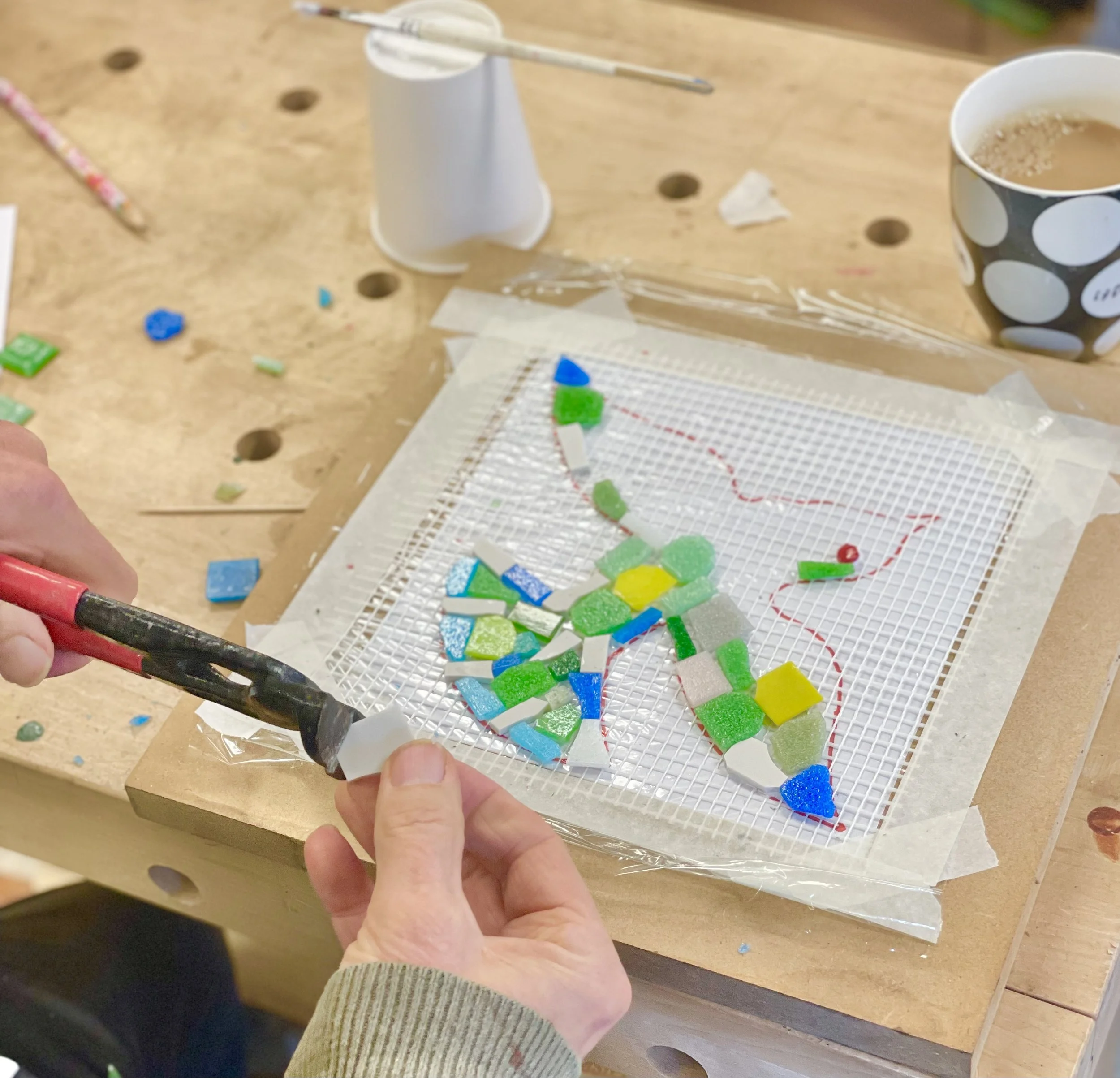 Mosaic on mesh Workshop .jpeg