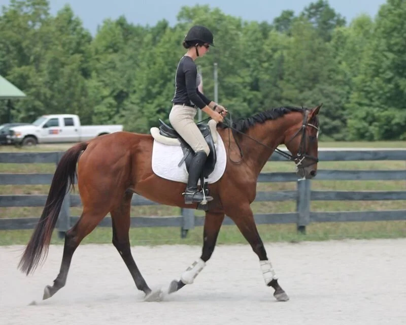 Horses Sold — Dunkerton Eventing