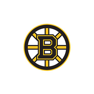 _0034_boston-bruins-logo.jpg